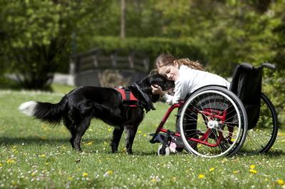 Tiergestützte Therapie mit dem Hund - für TherapeutInnen